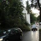 IMG_5532.JPG