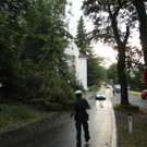 IMG_5533.JPG