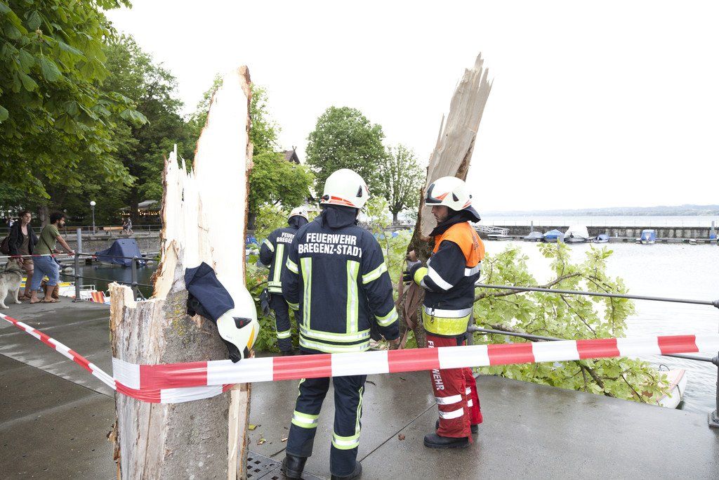 SturmschadenGondelhafen06.JPG