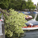 SturmschadenGondelhafen10.JPG