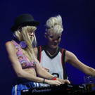 14079585.jpg