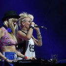 14079583.jpg