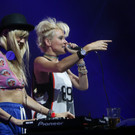 14079582.jpg