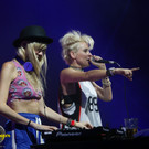 14079581.jpg