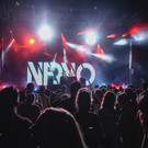 14079546.jpg