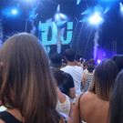 14079504.jpg