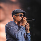 14079984.jpg