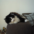 DSCN1826.JPG