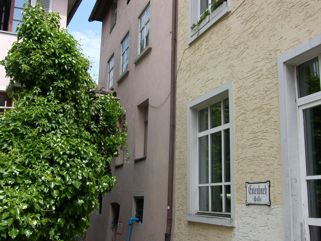 37_JPG-1275052559