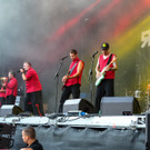 14081663.jpg