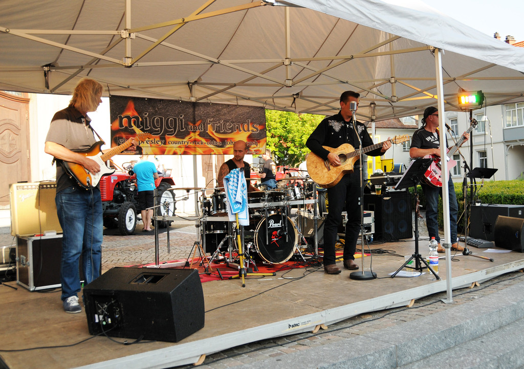 Tra__kerfest 18-07-2015 98.jpg