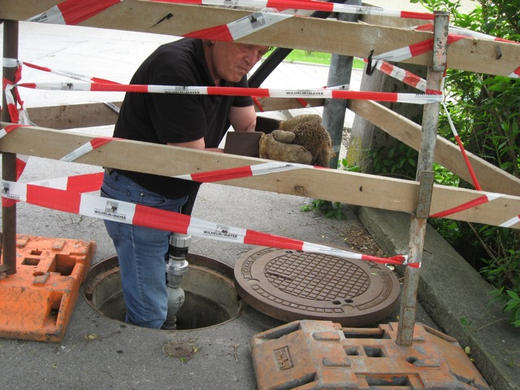 IMG_1740_jpg-1275056153