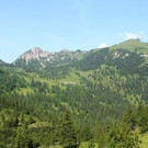 IMG_9121A.jpg