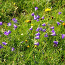 IMG_9128A.jpg