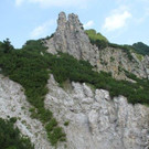 IMG_9134A.jpg