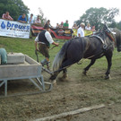 12_08_2012_18_35_38.JPG