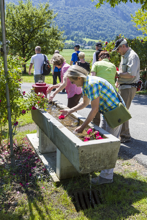 SPRE_20150628_5D3_Wanderung_1538.jpg
