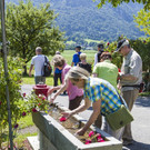 SPRE_20150628_5D3_Wanderung_1538.jpg