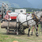 Pferdefest Rankweil