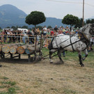 DSC_0008.JPG