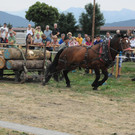 DSC_0032.JPG