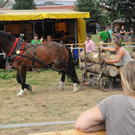 DSC_0080.JPG