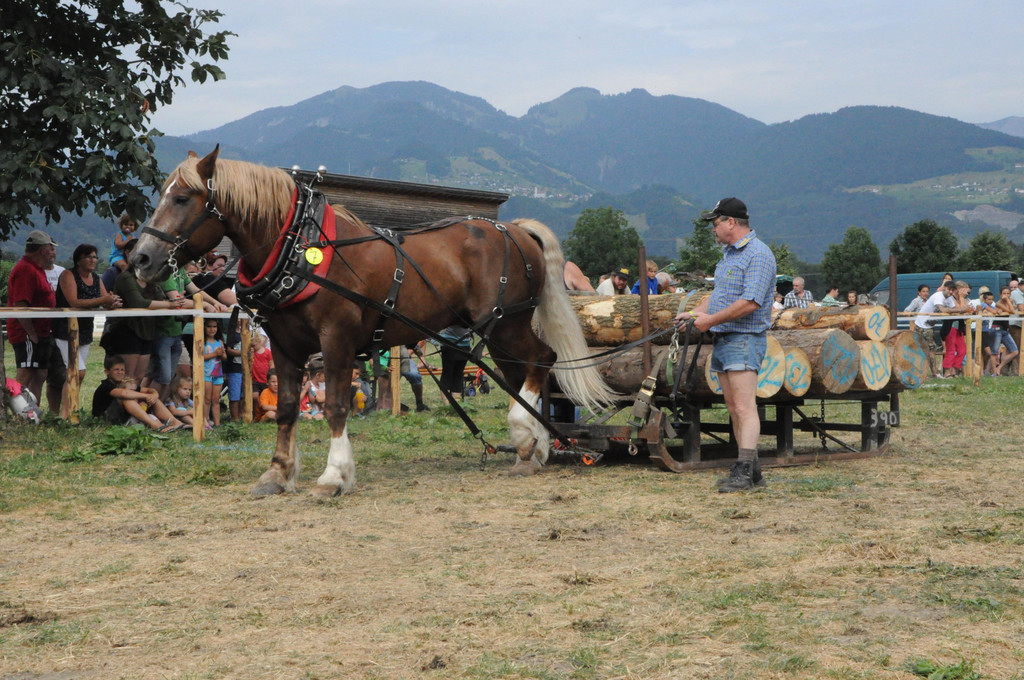 DSC_0094.JPG