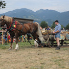 DSC_0094.JPG