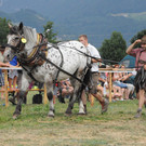 DSC_0106.JPG