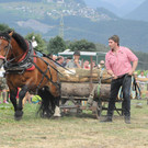 DSC_0118.JPG