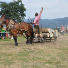 DSC_0226.JPG