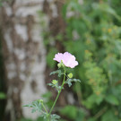 IMG_5733.JPG