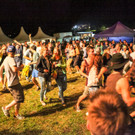 14083274.jpg