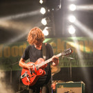 14083163.jpg