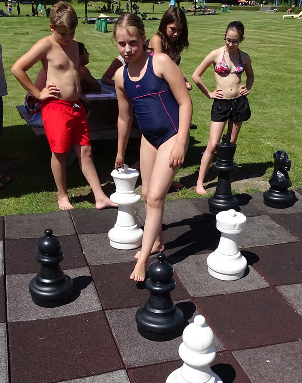 Baden4a Schach.jpg