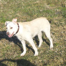20150307_160625_2.jpg