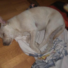 20150307_175514.jpg