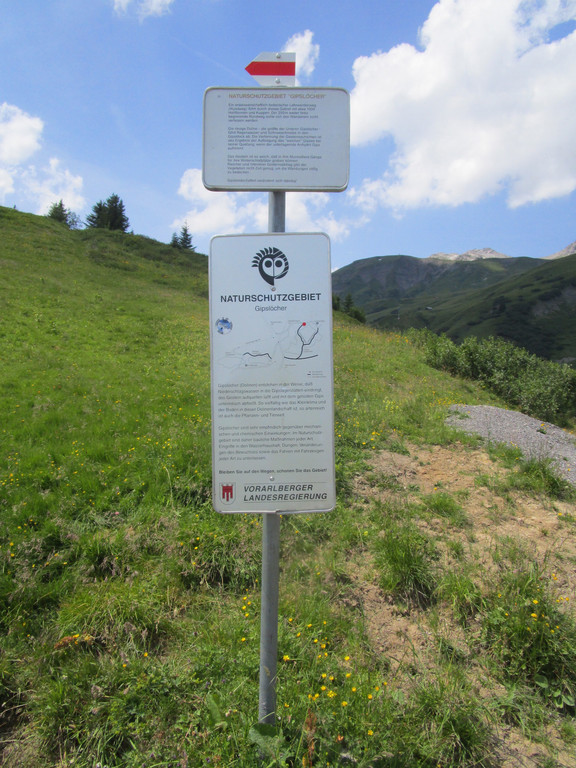 IMG_2339.JPG