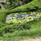 2014-07-17 11_21_07.jpg
