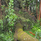 DSC_5568.JPG