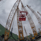 B10T3456.jpg