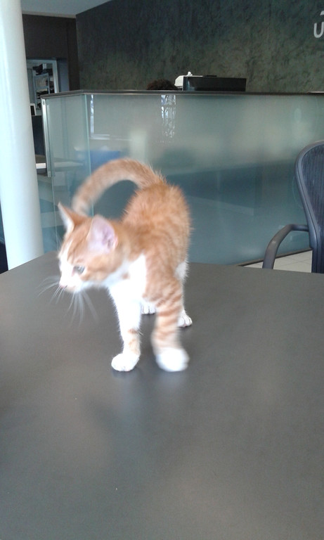20150723_103343.jpg