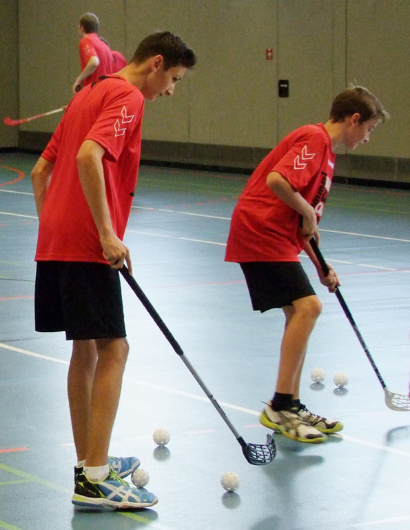 Hummel7 Hockey.jpg