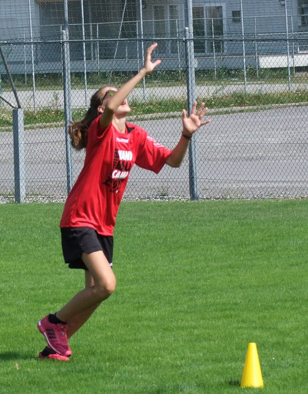 Hummel8a.jpg