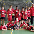 Hummel4b.jpg