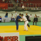 WMu17_Budapest09 5_JPG-1275119591