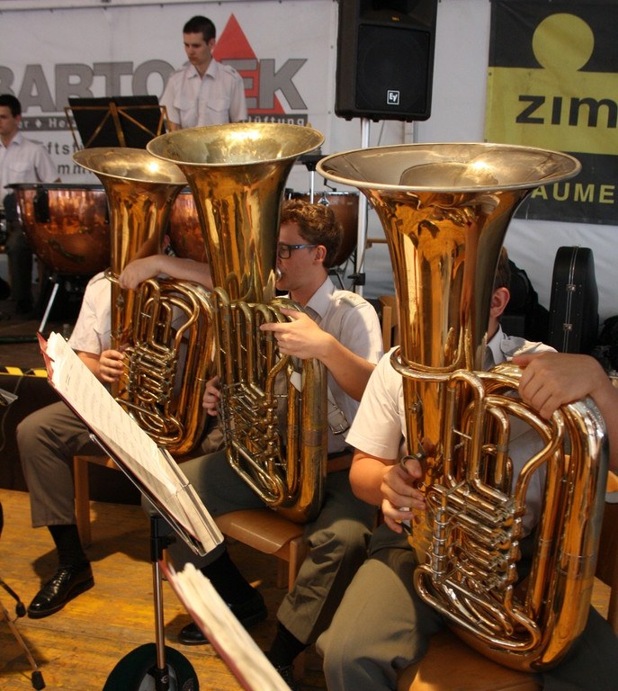 Milit__rmusik Konzert 2015 _3_.JPG