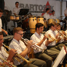 Milit__rmusik Konzert 2015 _11_.JPG