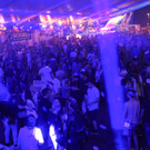 14085996.jpg