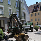 IMG_6174.JPG